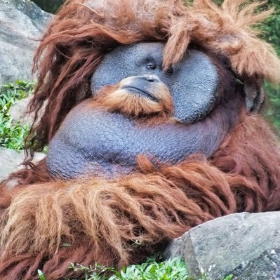 TONESさんのプロフィール画像