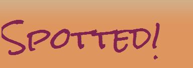 SpottedTVblog's profile picture. a blog about fashion and TV shows - follow me!