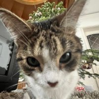 🕴🏼 (@michileber) 's Twitter Profile