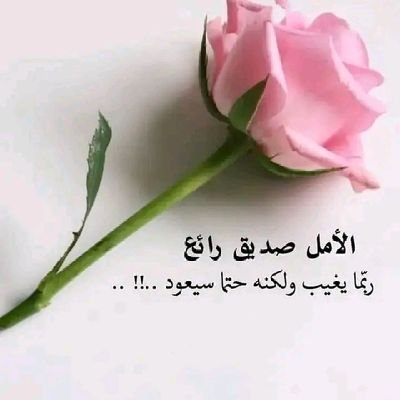 aly_zyzy19634's profile picture. بكالوريوس خدمه اجتماعيه
دبلوم عام علم نفس
