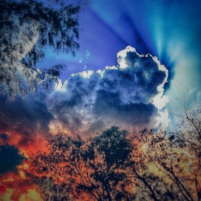 luis81265488's profile picture. 