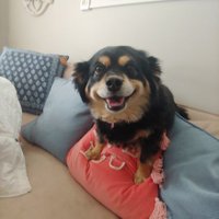 Feebiesmom333 (@feebiesmom333) 's Twitter Profile