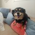 Feebiesmom333 (@feebiesmom333) Twitter profile photo Feebiesmom333 (@feebiesmom333) Twitter profile photo