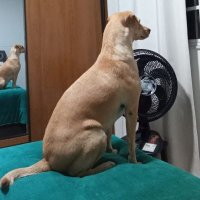 sapinho (@pdsmenezes) 's Twitter Profile Photo sapinho (@pdsmenezes) 's Twitter Profile Photo