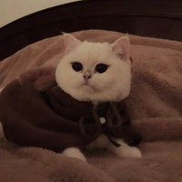 ππ π₯£ π (@loki_rwdiary) 's Twitter Profile
