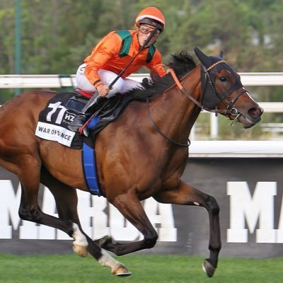 Caballos de Carreras: parte esencial de mi. Racehorses running on my blood