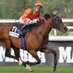 Jose Maria Sanchez (@chemaracehorses) Twitter profile photo Jose Maria Sanchez (@chemaracehorses) Twitter profile photo
