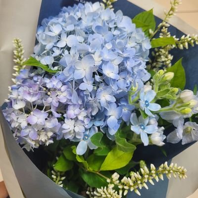 mai681484's profile picture. 上白石萌音さん、上白石萌歌さん、SEKAI NO OWARI、キムダミさん、あつ森、海外ドラマ、映画、読書、花瓶、テレビ、お布団、夜に見る夢…好きがたくさん♥️