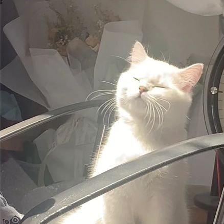 overandoverss's profile picture. 