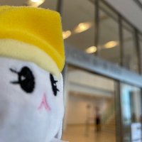 あずさ☻nextドリームハイ24-25日 (@peanut_shaun) 's Twitter Profile
