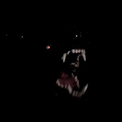 spacesys_69's profile picture. meow