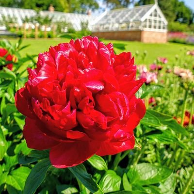 Love flowers and gardens especially that which produce fruits and veggies, devoted to God(Yahuah) also