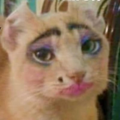 MarthaFregoso23's profile picture. Disque Mercadóloga | Could it be that you and me are the lucky ones?