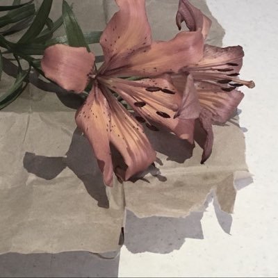 h_a2204's profile picture. 