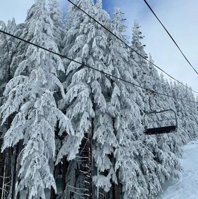 ZaiBu67651's profile picture. 