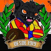 Raúl Jiménez 🇪🇸🦇 (@rauljimenez_vcf) 's Twitter Profile