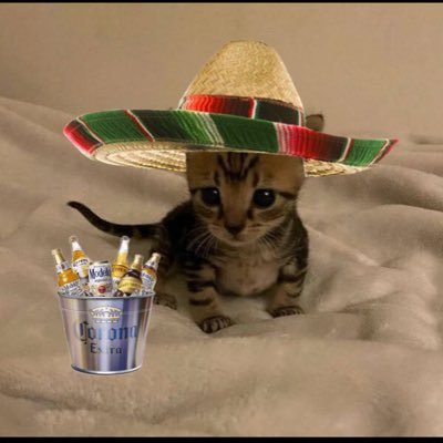 Puss1nBootss's profile picture. Intern @ @thesadtimesco @moonsheepverse