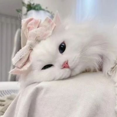 mmuxcutyy's profile picture. 