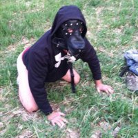 PAjx (@puppersajax) 's Twitter Profile