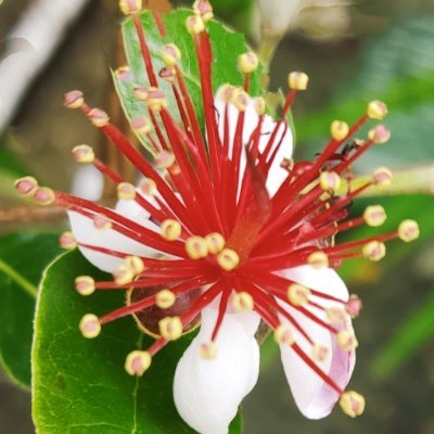 FlicityUrquhart's profile picture. Oscar Madison is my spirit animal.