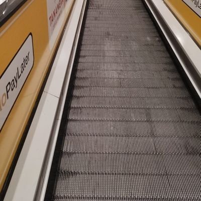 m_istighfari's profile picture. 