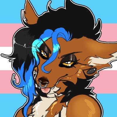 willowosrevenge's profile picture. 22 | butch transsexual furfag commie | computer and biology nerd | sometimes nsfw