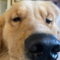 Active (@active_r6) 's Twitter Profile