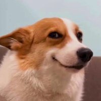 ぽん (@argueoverlort) 's Twitter Profile