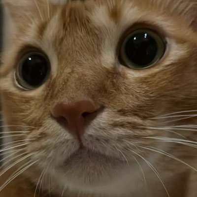 goforitkana's profile picture. マレーシア留学エージェントManaging Director🙎‍♀️教育移住から始まったマレーシア生活6年目に現地法人を設立🏢CANOW MALAYSIA SDN.BHD. 202301011546(1505468-X)🏫2人の息子と教育移住から始めた進路は世界が舞台になりました🎓お気軽にご相談ください！