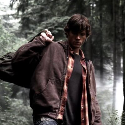 dailybloodysam's profile picture. sam winchester covered in blood. thats it.