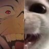 BigCaake_'s profile picture. balls

Dm me a tomato :)
I follow back ‖ I follow random people