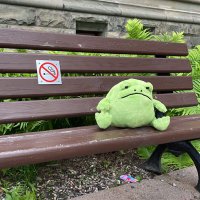 Trash Goblin (@trashladd9879) 's Twitter Profile