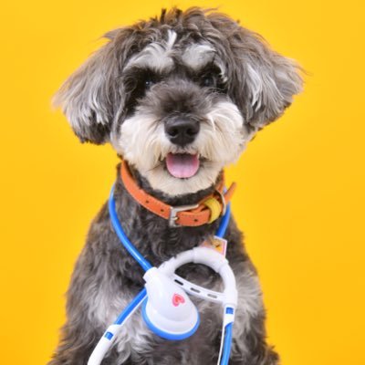 coco86155449272's profile picture. 年間400本近くの新作映画を楽しんでます。歴史と日本文化も大好き。お酒と美味しいグルメ。色々と教えて下さい。https://t.co/Xki8f67SDt
