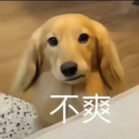 5_78 (@zhao66_119peach) 's Twitter Profile