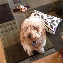 Mark Wacker - @MarkAaron50 - Twitter