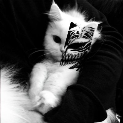 Phnix312's profile picture. awa