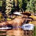 MacMillanRiverAdventures (@mrahunting45) Twitter profile photo MacMillanRiverAdventures (@mrahunting45) Twitter profile photo
