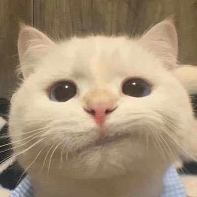 Aliiiaaaah's profile picture. just a girl