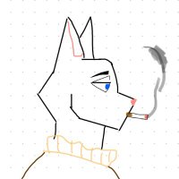 GATO (@gato_matero) 's Twitter Profile Photo GATO (@gato_matero) 's Twitter Profile Photo