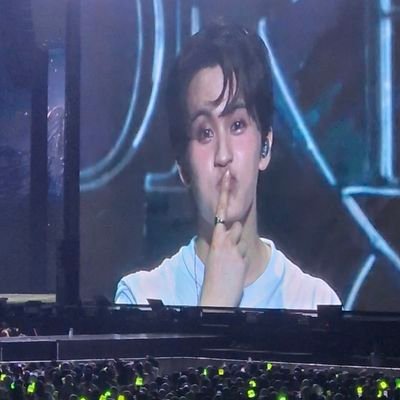 pipiomark's profile picture. fan acc || baca au jugaa