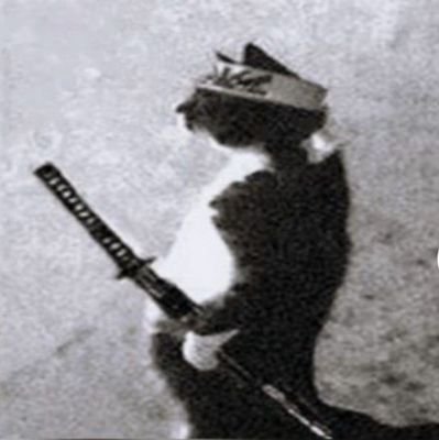 Vannoss_'s profile picture. 