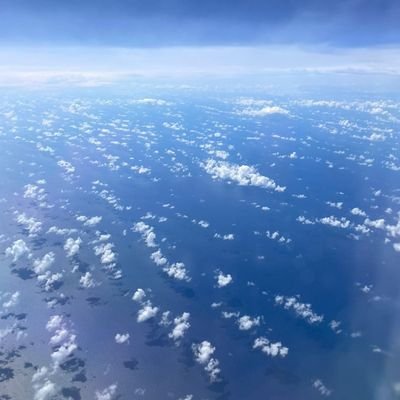 RomannF's profile picture. Errare humanum est, perseverare autem diabolicum.