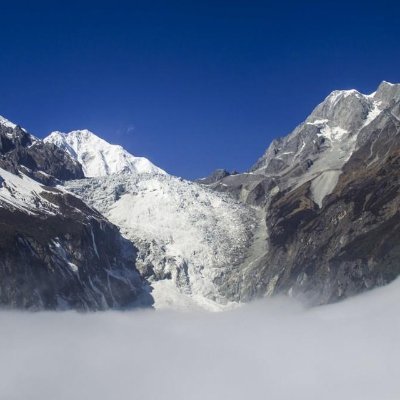 daolami2024's profile picture. (✸,✸)