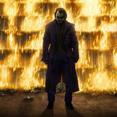 snauggyfaunkiwi's profile picture. 