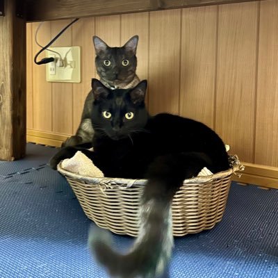 岩手→沖縄→岩手 いろいろモロモロわらわらふらふら、趣味エンジョイ生活を送っております。あいらぶおんがく♡