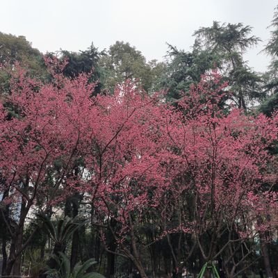 3rGJY26M2863289's profile picture. 