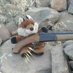 Charlie the Fox (@sabcharlie2) Twitter profile photo Charlie the Fox (@sabcharlie2) Twitter profile photo