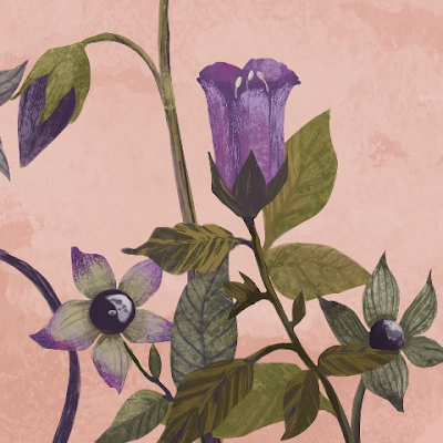 Kimmikart_15's profile picture. 