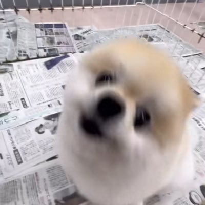 FPm6hAxKcc94307's profile picture. 