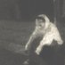 demonson (@luvethxfriend_) Twitter profile photo demonson (@luvethxfriend_) Twitter profile photo